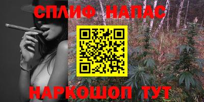 скорость Обь