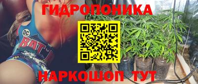 скорость Обь