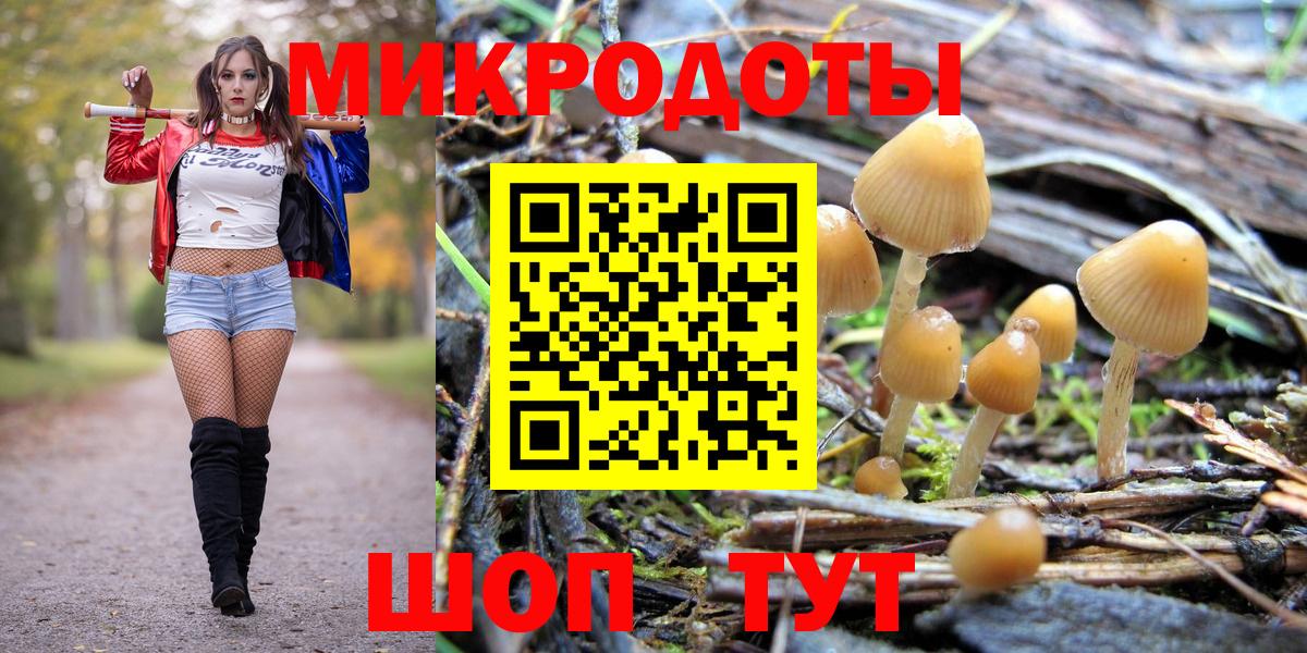 Галлюциногенные грибы GOLDEN TEACHER  Галлюциногенные грибы Cubensis  купить наркотики сайты  Вход с VPN  Ступино 