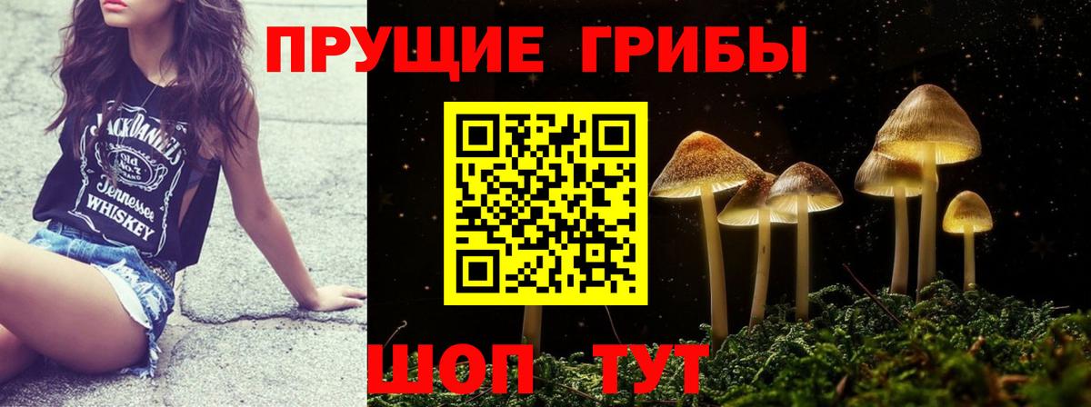 Псилоцибиновые грибы MAGIC MUSHROOMS Ступино